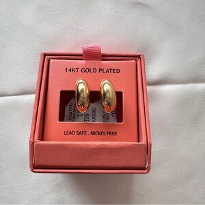 House of Harlow Earrings 14KT Gold Plated